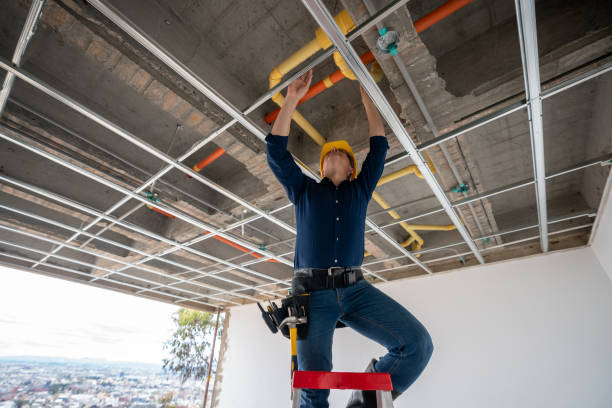 Best Water Leak Repair  in Pleasant Valley, MO